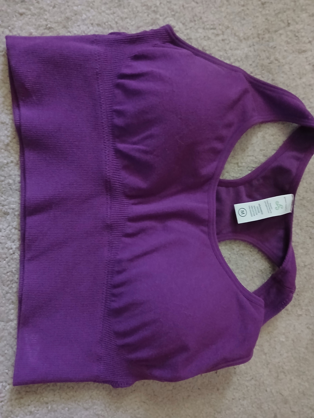 Green Apple Purple Racerback Sports Bra Medium
